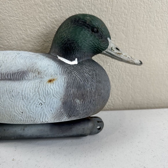 Game winner standard mallard Drake decoy vintage - Picture 6 of 11